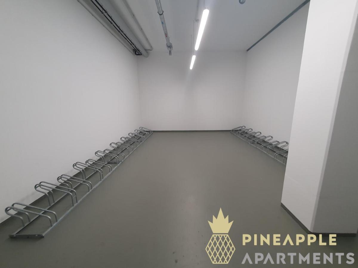 Pineapple Apartments Dresden Altstadt I - 117 Qm - 1X Free Parking Екстериор снимка